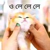দুষ্ট__ছেলে🌺🤍