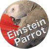 einsteinparrot