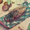 cicada.shell