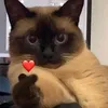 laifds