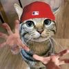 auston_nanik0