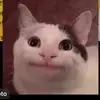 crumblcookieluvr23