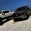 that_white_3.0l