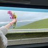 ravii__1379