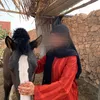 imanee_ikk