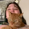 orangecatsrule