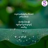 ooyargyi.mdy7822