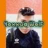 yoxxuawolf