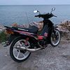 petanigenz81