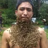 mermanaoat