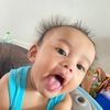 fang_180142