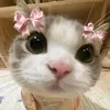 _mariebibat