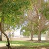mohamedsajir68