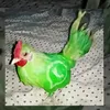 fabricio_v3