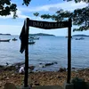 tanluong1