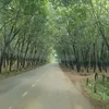 dotran0979