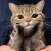mi_aww3