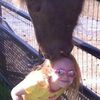morgie_w