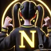 nhi0313nh