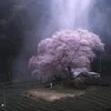 useru020290