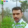 sajidmahmood535