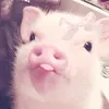 ellie_vivy