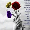 13rosas.con