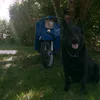 lennard_2510