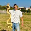 adir_megidish1