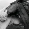 hhhhh_1991