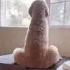 jrksjeushshe