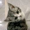 m_azka_dh