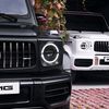 ali_rr_555