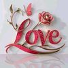 sherkhan84842