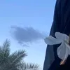 maje_da0