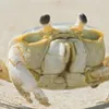 chubby_crabs