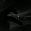 haline240