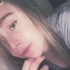 hollibear11