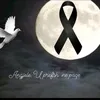 amarildocengeli