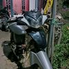 farelll_09