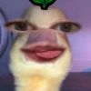 syalllwaa_