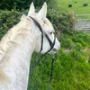 angie09640