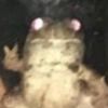 squealin