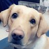 luckynaagar4125
