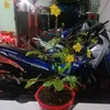 userkavwjqm7y2