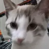 ricaom_