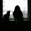 raseel_belpistachio