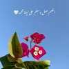 nzlin19