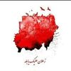 nadin_abdelazim