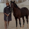 ممدوح ال عرفج 📚🐎🤍